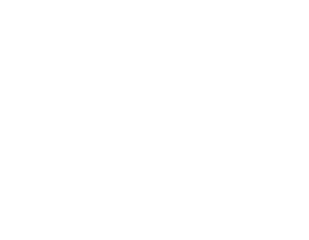 Fiestononón